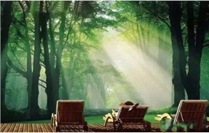 威大空氣凈化活性炭給你打造一個五星級的居住環(huán)境！電話：13838587319 孫經(jīng)理